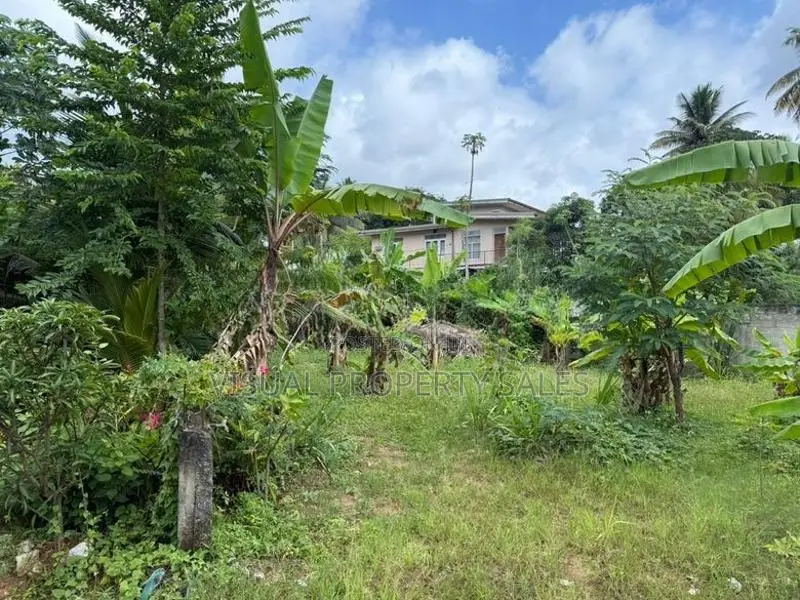 Land for Sale Arrupola