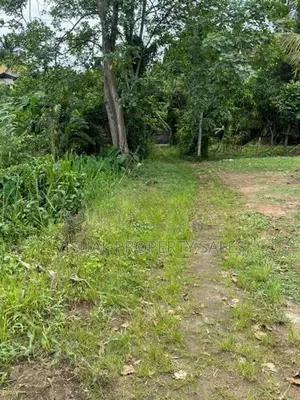 Land for Sale Arrupola