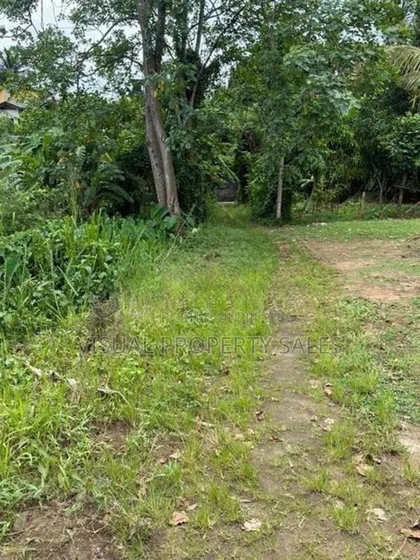 Land for Sale Arrupola