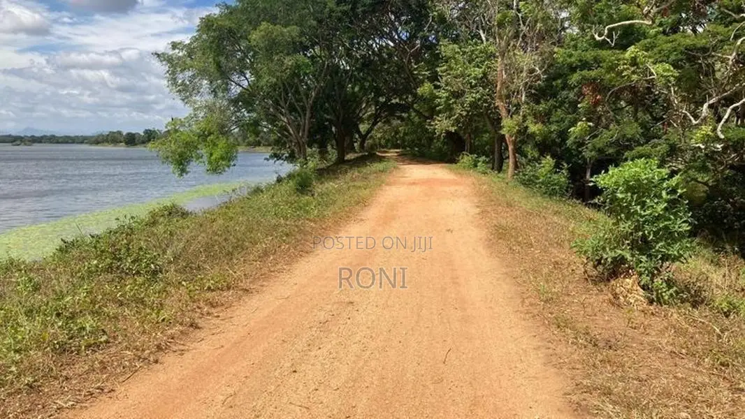 2 Acre Lakefront Land – Clear Deed Habarana