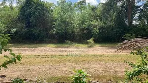 2 Acre Lakefront Land – Clear Deed Habarana