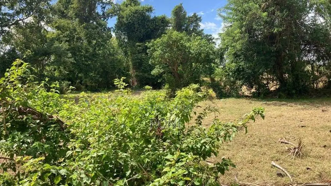 2 Acre Lakefront Land – Clear Deed Habarana
