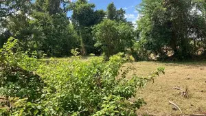 2 Acre Lakefront Land – Clear Deed Habarana