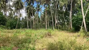 2 Acre Lakefront Land – Clear Deed Habarana