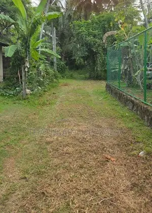 Land for Sale 20 Perch Markevita - Gampaha