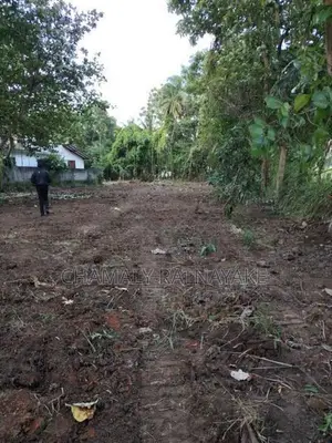 Land for Sale in Ibbagamuwa