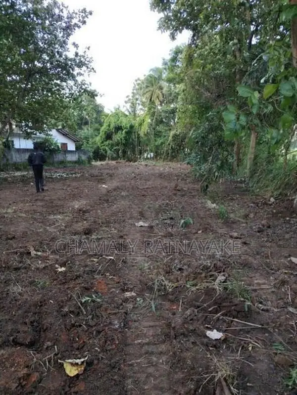Land for Sale in Ibbagamuwa
