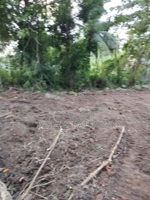Land for Sale in Ibbagamuwa