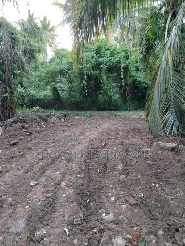 Land for Sale in Ibbagamuwa