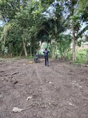Land for Sale in Ibbagamuwa
