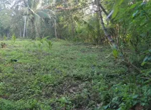 45 Perches Prime Development Land For Sale – Bentota