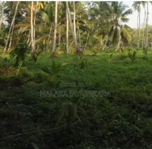 45 Perches Prime Development Land For Sale – Bentota