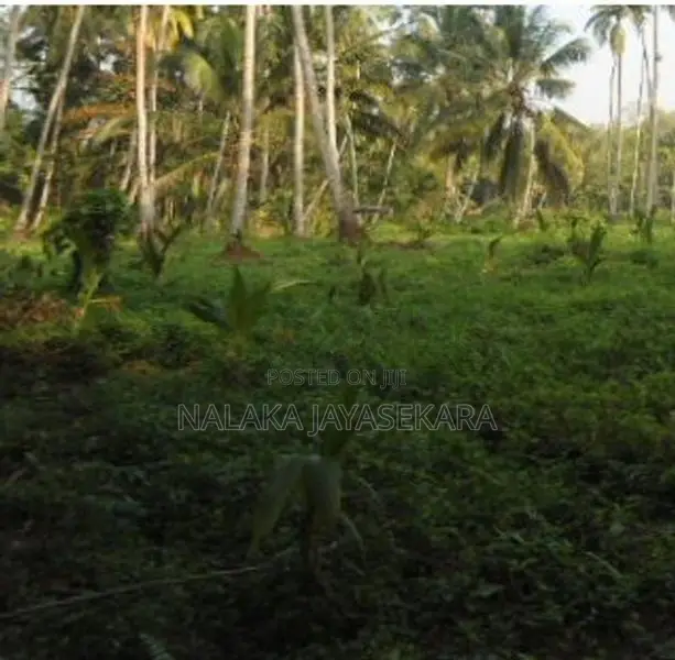 45 Perches Prime Development Land For Sale – Bentota
