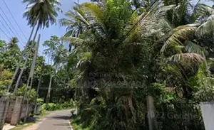 45 Perches Prime Development Land For Sale – Bentota