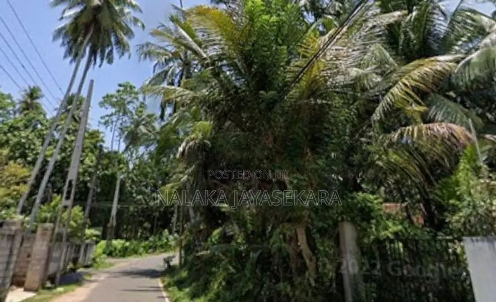 45 Perches Prime Development Land For Sale – Bentota