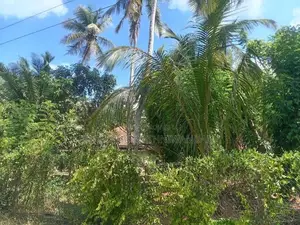 Land For Sale In Kuliyapitiya