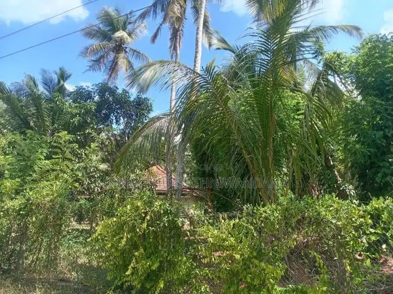Land For Sale In Kuliyapitiya