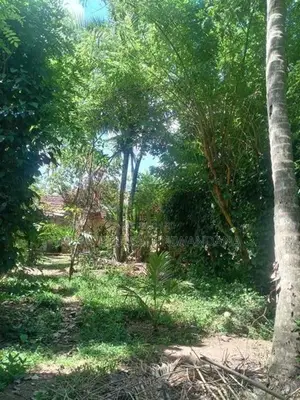 Land For Sale In Kuliyapitiya