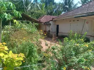 Land For Sale In Kuliyapitiya