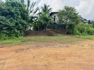 Land For Sale In Kahathuduwa Diyakada Polgasowita