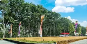 10 Perch Land For Sale Horana