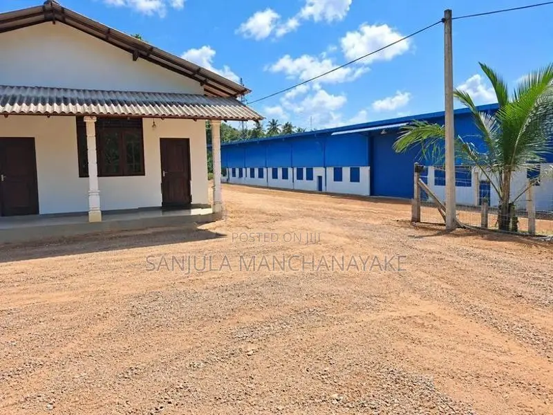 15,000SQ Warehouse for Rent Minuwangoda