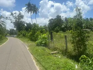 Land for Sale in Wadduwa