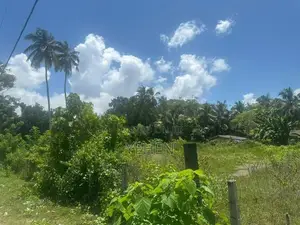Land for Sale in Wadduwa