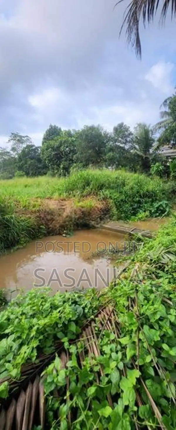 Pannipitiya Luxury House for Sale
