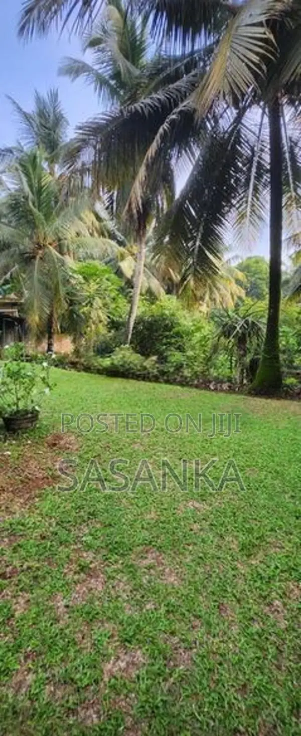 Pannipitiya Luxury House for Sale