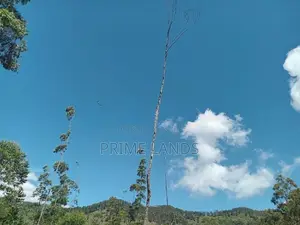 Deram Home Holiday villas Ella