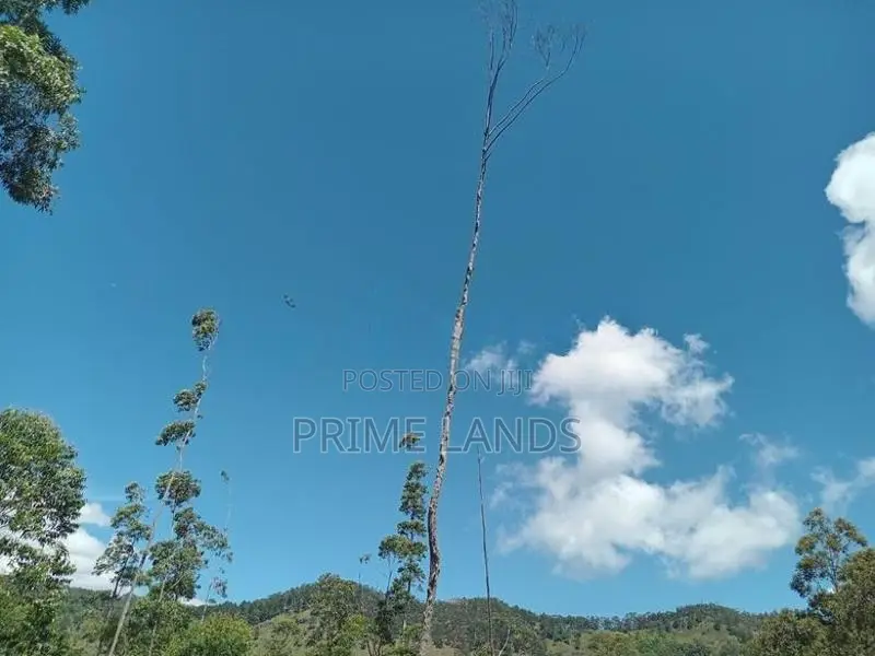 Deram Home Holiday villas Ella