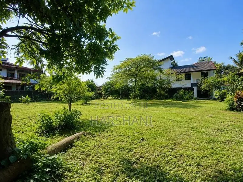 3 Land Blocks or Entire Close to Ragama Main Road