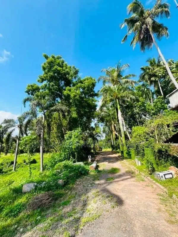5 Acre LAND FOR SALE - WENNAPPUWA Puttalam District