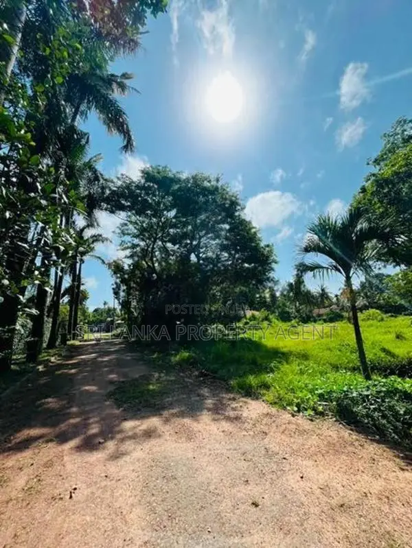 5 Acre LAND FOR SALE - WENNAPPUWA Puttalam District