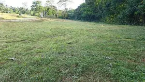 වටිනා ඉඩමක් ඇහැලියගොඩ නගරයේන්