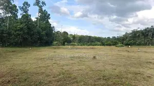 Best land for sale Eheliyagoda
