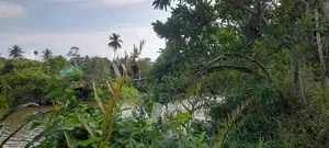 River View land for sale in Weligama