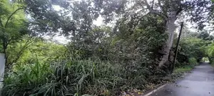 River View land for sale in Weligama