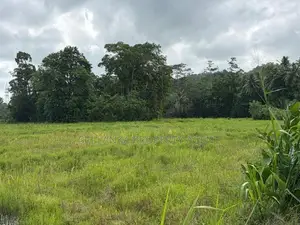 164 Perch Island for Sale ANGULUGAHA - Galle