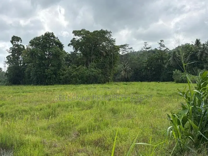 164 Perch Island for Sale ANGULUGAHA - Galle
