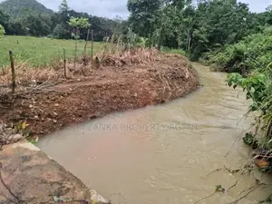 164 Perch Island for Sale ANGULUGAHA - Galle