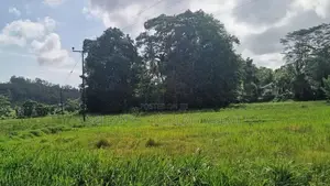 164 Perch Island for Sale ANGULUGAHA - Galle