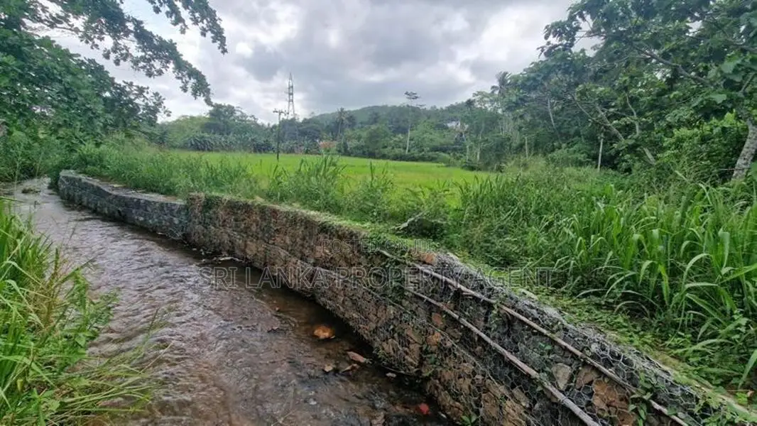 164 Perch Island for Sale ANGULUGAHA - Galle