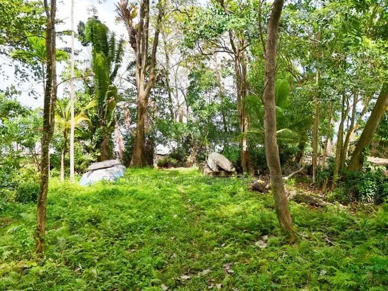 Exclusive Bolgoda Lakefront Property for Sale
