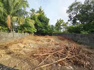 10P Residential or Commercial Bare Land For Sale In Maharagama