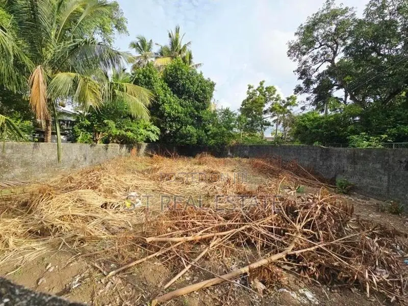 10P Residential or Commercial Bare Land For Sale In Maharagama