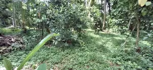 (AFA350) 45 P Land sale at Facing Boralugoda Road Pore Aturugiriya