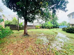 (AFA354) 31.5 for Sale in Katubedda