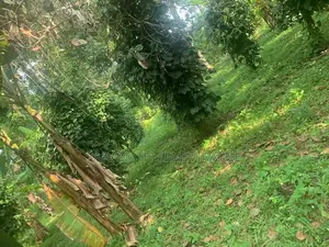 Land For Sale in Yakkala - 700 m to Kandy Rd